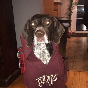 Meet your Posher, Emma